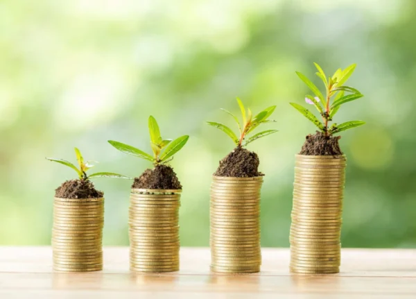 Website een investering